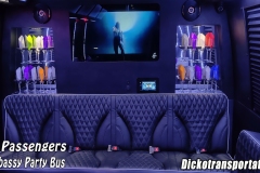 Dicko-Transportation-web-bus-3
